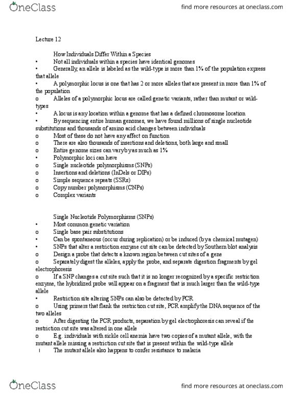 Biology 2581B Lecture Notes - Lecture 12: Sickle-Cell Disease, Single-Nucleotide Polymorphism, Southern Blot thumbnail