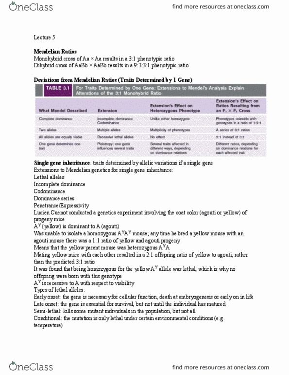 Biology 2581B Lecture Notes - Lecture 5: Probability Distribution, Wild Type, Neurofibromatosis thumbnail