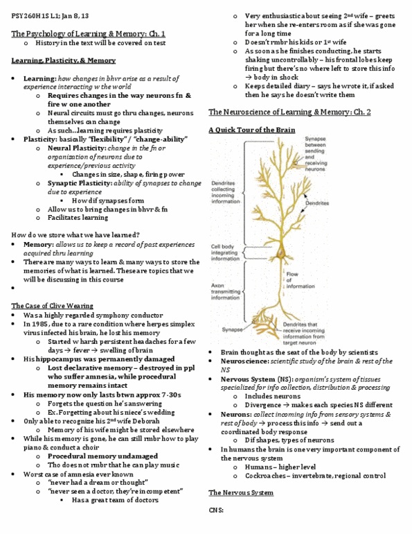 PSY260H1 Lecture Notes - Basal Ganglia, Cranial Nerves, Functional Neuroimaging thumbnail