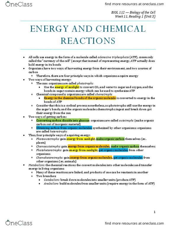 BIOL 112 Chapter Notes - Chapter 6: Adenosine Diphosphate, Ribose, Hydrolysis thumbnail