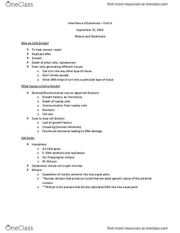 Biology 1201A Lecture Notes - Lecture 4: Microtubule, Allele, Telomerase thumbnail