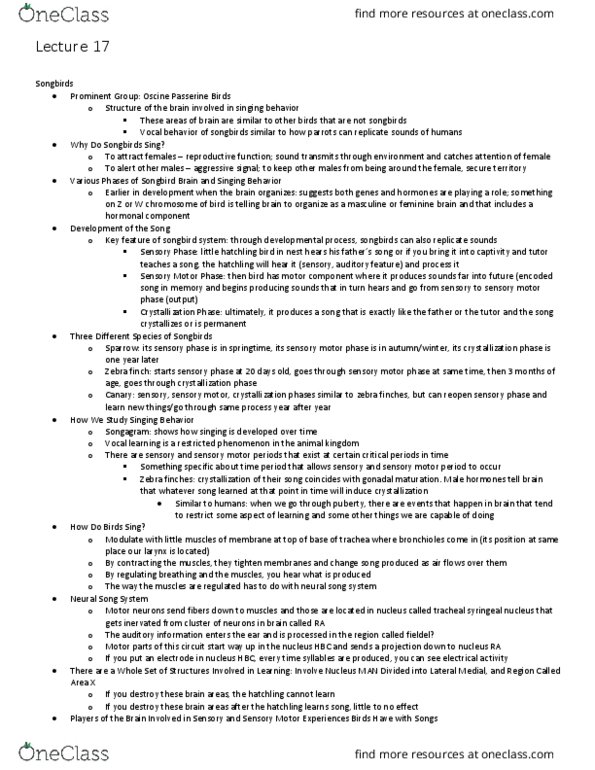 PHYSCI M140 Lecture Notes - Lecture 17: Enzyme, Amygdala, Fadrozole thumbnail