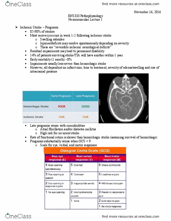 ENS 333 Lecture Notes - Lecture 13: Thrombin, Coumarin, Antihypertensive Drug thumbnail