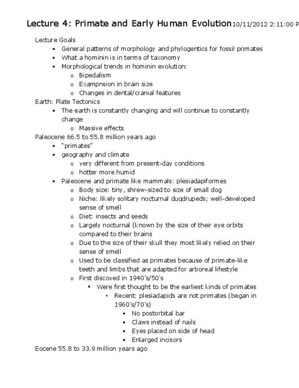 ANT100Y1 Lecture Notes - List Of Fossil Primates, Postorbital Bar, Oligocene thumbnail