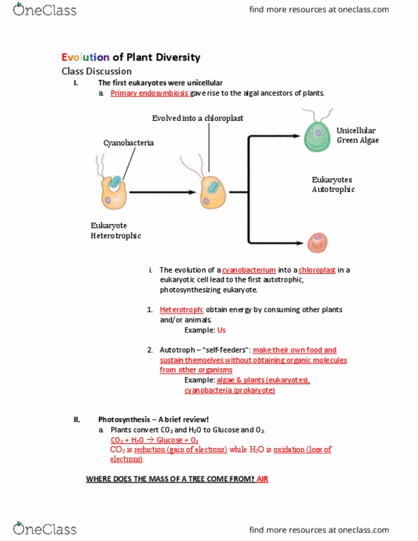 BIOL 101 Lecture Notes - Lecture 5: Phloem, External Fertilization, Hagfish thumbnail