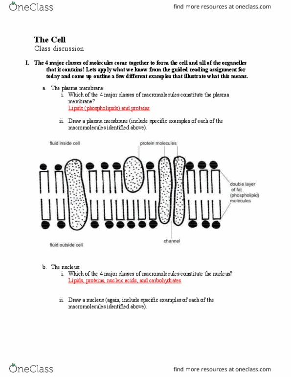 BIOL 101 Lecture Notes - Lecture 1: Chapel Hill, North Carolina, Cystic Fibrosis, Epithelium thumbnail