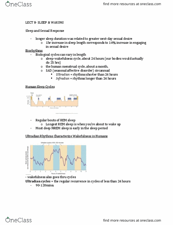 PSYB64H3 Lecture Notes - Lecture 8: Adenosine, Night Terror, Restless Legs Syndrome thumbnail