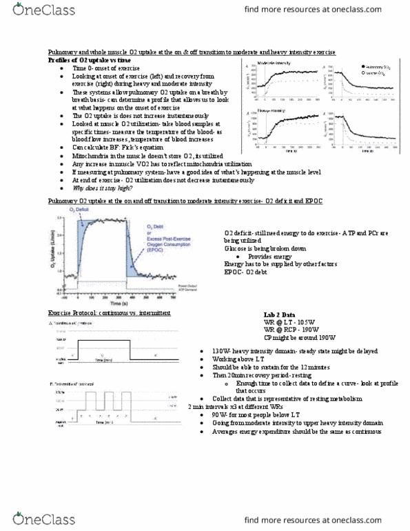 Kinesiology 3330F/G Lecture Notes - Lecture 5: Vo2 Max, Exercise Intensity thumbnail