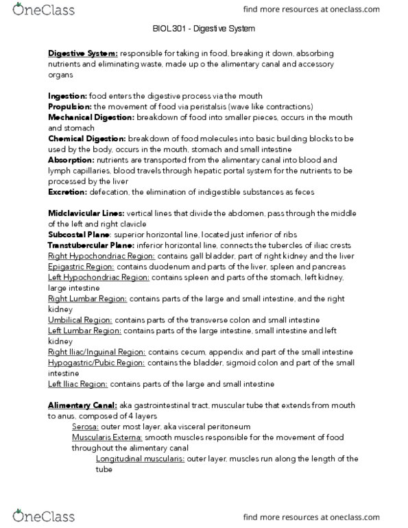 BIOL301 Lecture Notes - Lecture 9: Greater Omentum, Common Hepatic Duct, Curvatures Of The Stomach thumbnail