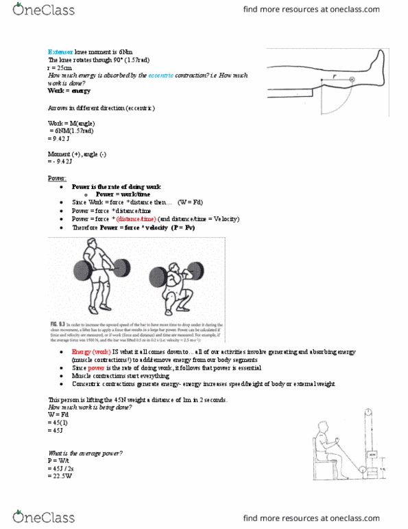Kinesiology 3341A/B Lecture Notes - Lecture 9: Biceps, Triceps Brachii Muscle, Muscle Contraction thumbnail