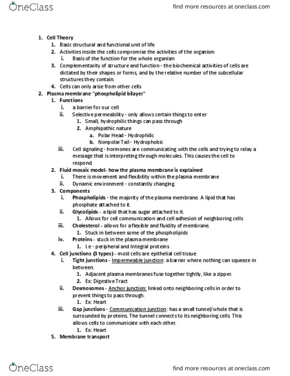 BIOL 2221 Lecture Notes - Lecture 3: Citric Acid Cycle, Cell Theory, Prophase thumbnail