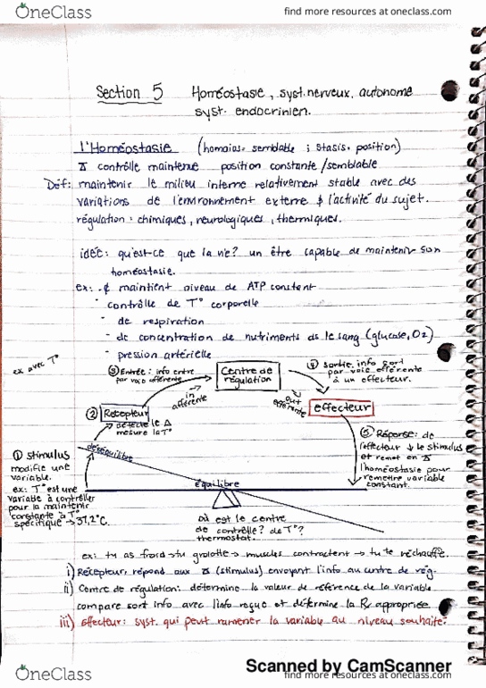 ANP 1505 Lecture 13: Homéostasie thumbnail