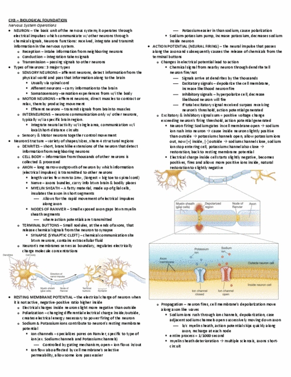 PSY100H1 Chapter Notes - Chapter 3: Central Nervous System, Myelin, Axon Terminal thumbnail
