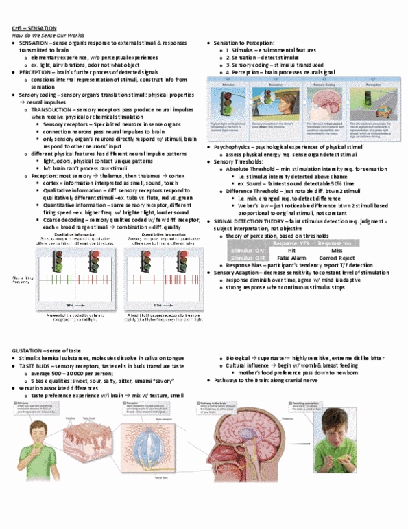 PSY100H1 Chapter Notes -Threshold Of Pain, Prefrontal Cortex, Sensory Neuron thumbnail