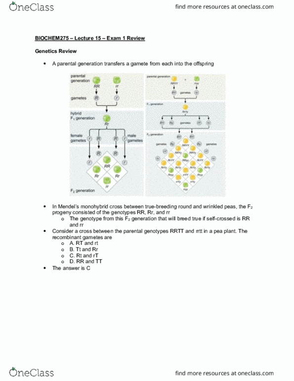 BIOCHEM 275 Lecture Notes - Lecture 15: Ethidium Bromide, Complementary Dna, Gel Electrophoresis Of Nucleic Acids thumbnail