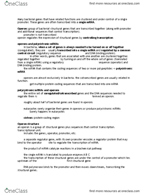 BIOL 3060 Chapter Notes - Chapter x: Regulatory Sequence, Cistron, Operon thumbnail