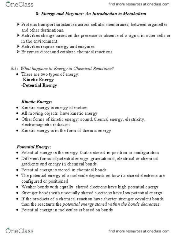 MCDB 1150 Lecture Notes - Lecture 12: Kinetic Energy, Electron Acceptor, Electron Donor thumbnail