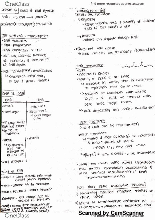 BCHM 425 Lecture 6: Mol Bio 6 thumbnail