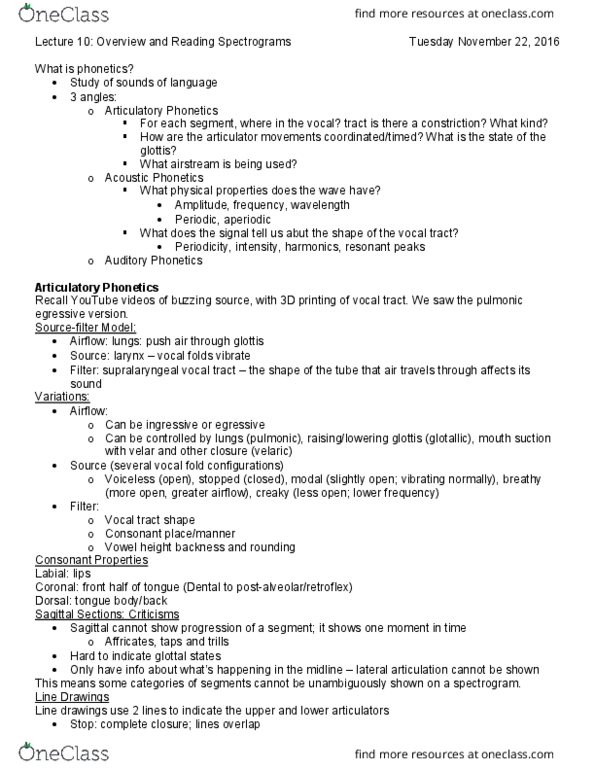 LINB09H3 Lecture Notes - Lecture 10: Articulatory Phonetics, Auditory Phonetics, Vocal Tract thumbnail