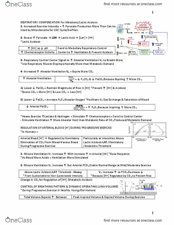 EDKP 395 Lecture Notes - Lecture 21: Lactic Acid, Acidosis, Chemoreceptor thumbnail