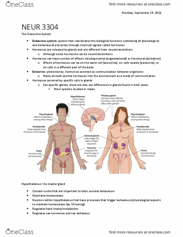 NEUR 3304 Lecture Notes - Lecture 2: Circadian Rhythm, Median Eminence, White Adipose Tissue thumbnail