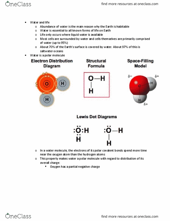 BSC 118 Lecture Notes - Lecture 3: Hydrogen Bond, Chemical Polarity, Gerridae thumbnail