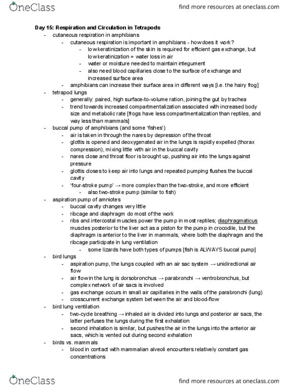 ZOO 2090 Lecture Notes - Lecture 15: Buccal Pumping, Bird Anatomy, Intercostal Muscle thumbnail