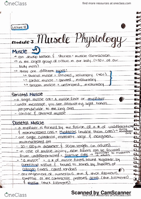KINE 2011 Lecture 18: Muscle Physiology thumbnail