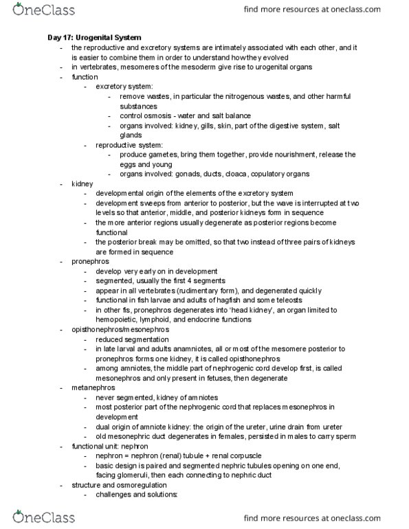 ZOO 2090 Lecture Notes - Lecture 17: Mesonephric Duct, Renal Corpuscle, Pronephros thumbnail