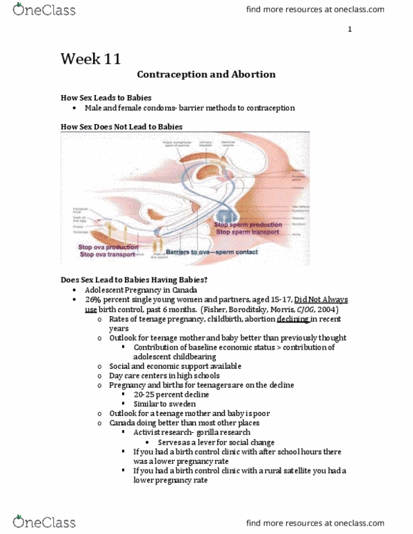 Psychology 2075 Lecture Notes - Lecture 11: Combined Oral Contraceptive Pill, Contraceptive Patch, Erotophilia thumbnail