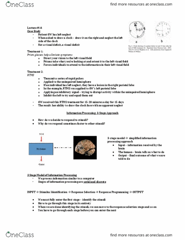 Kinesiology 1080A/B Lecture Notes - Lecture 14: Hemispatial Neglect, Transcranial Magnetic Stimulation, Parietal Lobe thumbnail