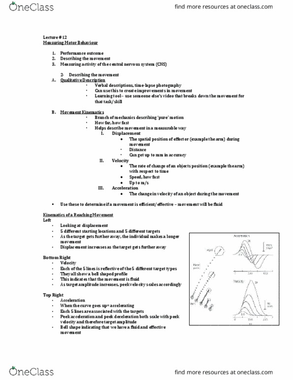 Kinesiology 1080A/B Lecture Notes - Lecture 12: Central Nervous System, Cerebral Cortex, Upper Motor Neuron Lesion thumbnail