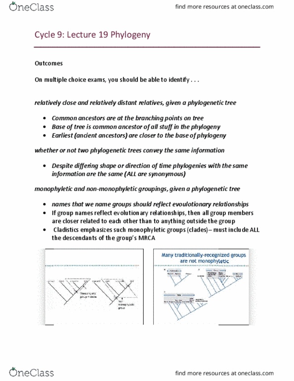 Biology 1001A Lecture Notes - Lecture 19: Autapomorphy, Cladistics, Symplesiomorphy thumbnail