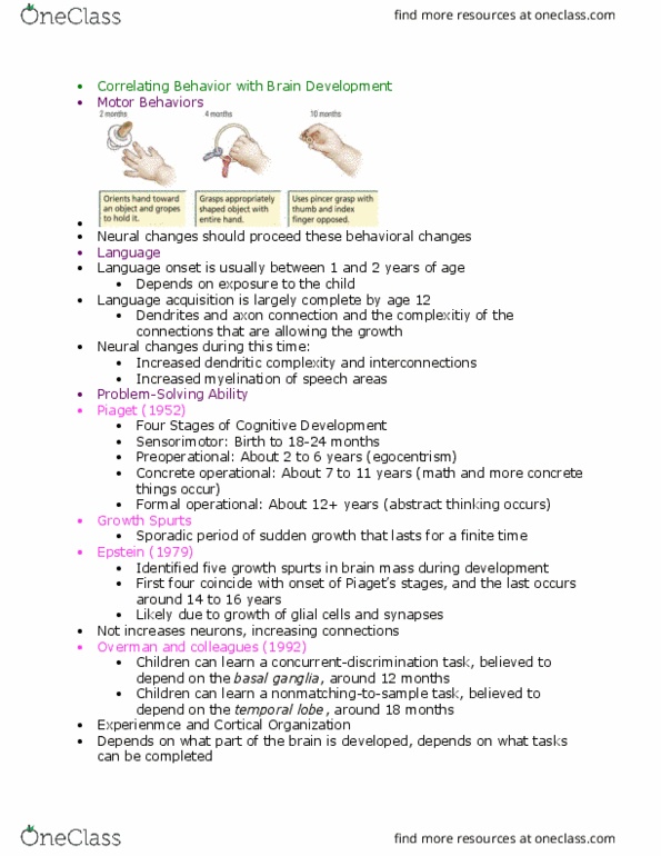PSY 2301 Lecture Notes - Lecture 10: Basal Ganglia, Temporal Lobe, Neuroglia thumbnail