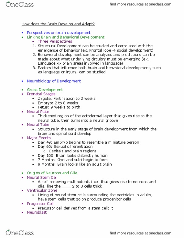 PSY 2301 Lecture Notes - Lecture 9: Epidermal Growth Factor, Progenitor Cell, Ventricular Zone thumbnail