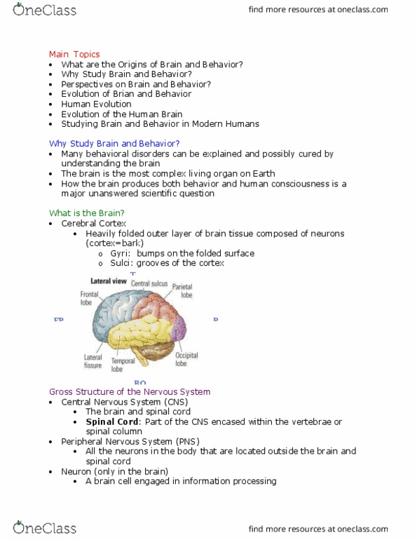 PSY 2301 Lecture Notes - Lecture 1: Central Nervous System, Pineal Gland, Julien Offray De La Mettrie thumbnail