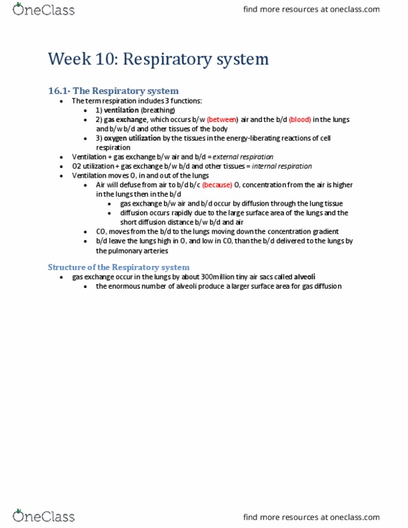 BIOM 3200 Lecture Notes - Lecture 5: Alveolar Cells, Bronchiole, Intrapleural Pressure thumbnail