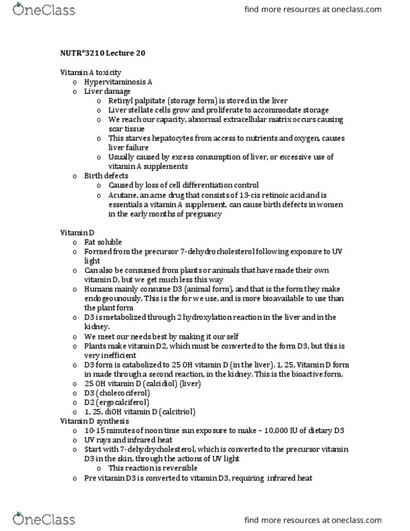 NUTR 3210 Lecture Notes - Lecture 20: Calcifediol, Hypervitaminosis A, Calcitriol thumbnail