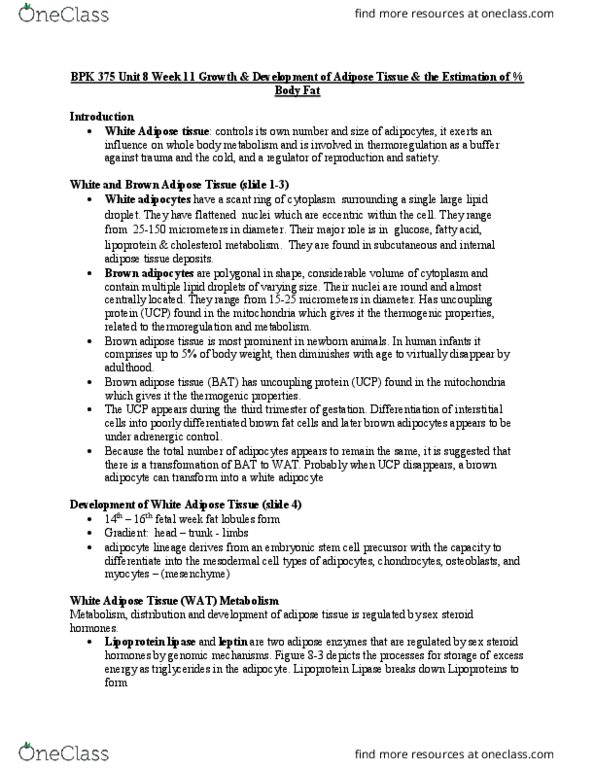 BPK 375 Lecture Notes - Lecture 11: Lipoprotein Lipase, Subcutaneous Tissue, Lipid Droplet thumbnail