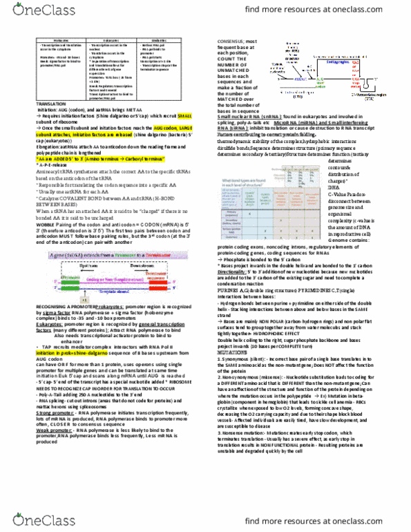 BIOL 112 Study Guide Spring 2016, Final Small Nuclear Rna, Rna