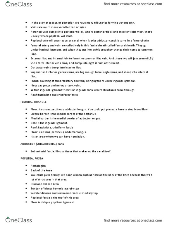 EXCI 253 Lecture Notes - Lecture 20: Oblique Popliteal Ligament, Common Iliac Vein, Adductor Longus Muscle thumbnail