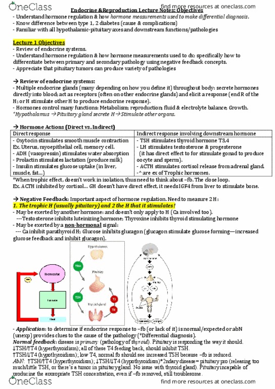 PHGY 350 Lecture Notes - Lecture 9: Pituitary Stalk, Adrenal Tumor, Hypopituitarism thumbnail