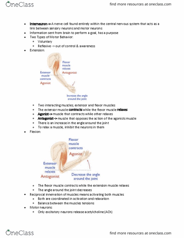 PHGY 209 Lecture 32: Motor System thumbnail