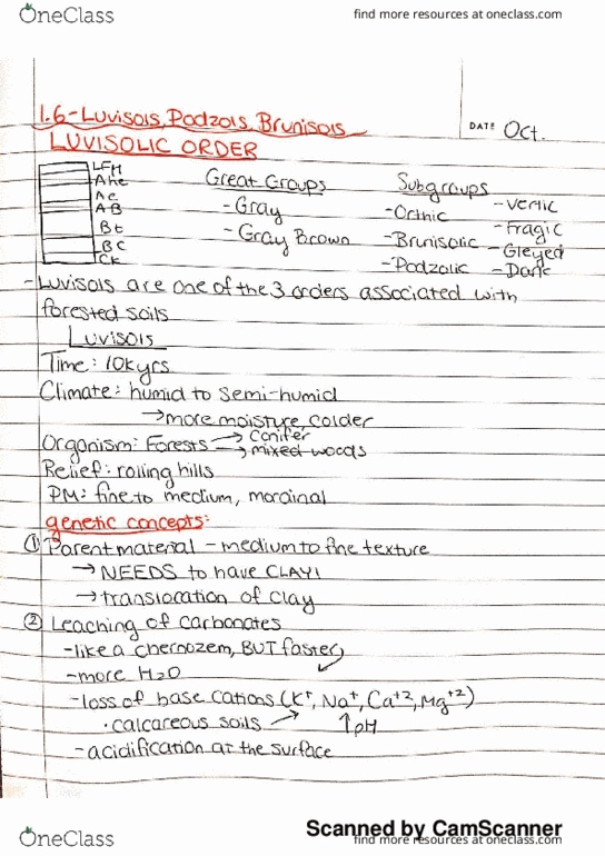 REN R210 Lecture 6: 1.6 Luvisols, Podzols, Brunisols thumbnail