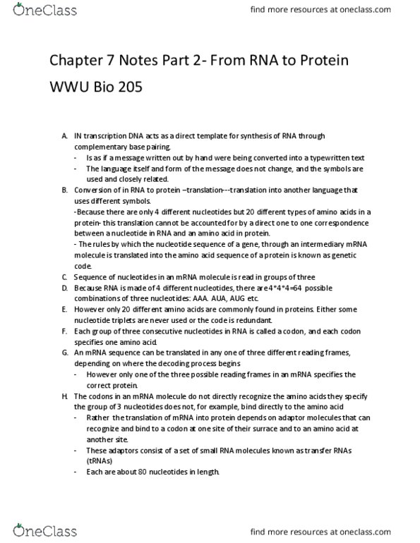 BIOL 205 Chapter Notes - Chapter 7: Base Pair, Transfer Rna, Polynucleotide thumbnail