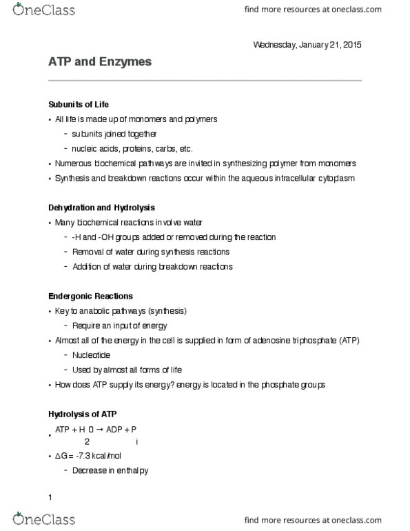 Biology 1201A Lecture Notes - Lecture 6: Exergonic Reaction, Activation Energy, Exergonic Process thumbnail