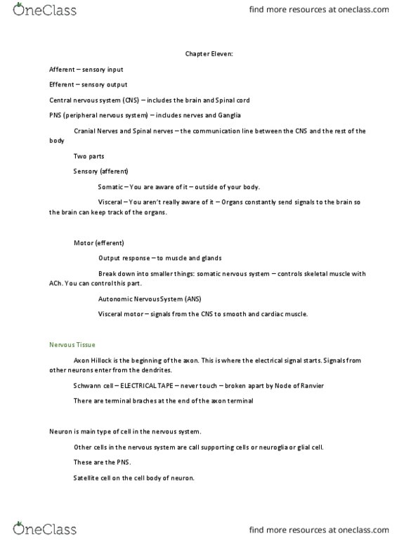 BIOL 243 Lecture Notes - Lecture 17: Central Nervous System, Resting Potential, Schwann Cell thumbnail