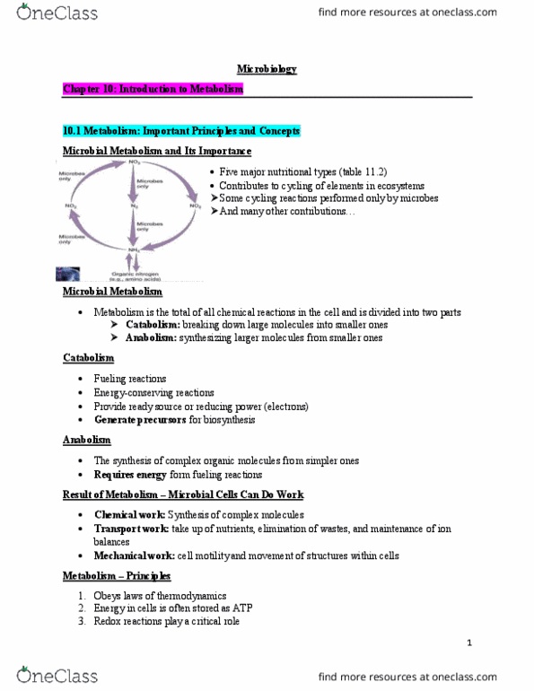 BLG 151 Lecture Notes - Lecture 9: Equilibrium Constant, Thermodynamics, Uridine thumbnail