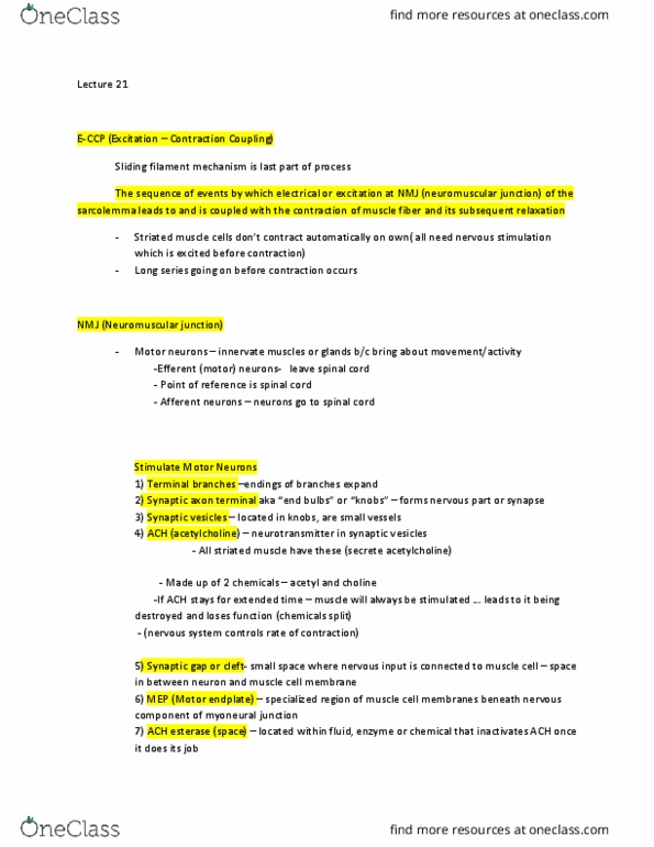 BIOL 207 Lecture Notes - Lecture 21: Neuromuscular Junction, Esterase, Choline thumbnail