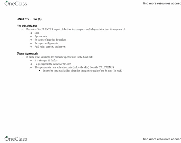 ANAT 315 Chapter Notes - Chapter 5: Flexor Digitorum Brevis Muscle, Abductor Digiti Minimi Muscle Of Hand, Lateral Plantar Nerve thumbnail